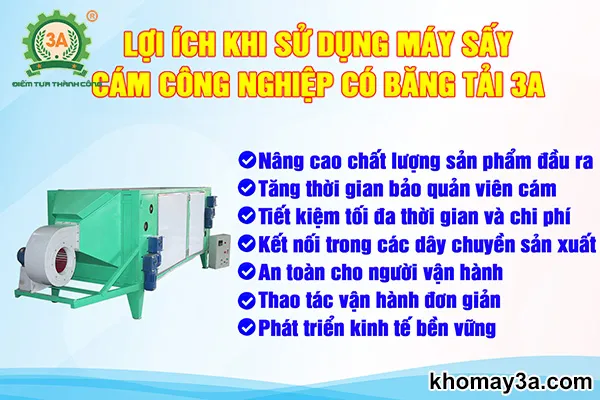 Hiệu quả kinh tế khi đầu tư máy sấy cám công suất 500kg/h