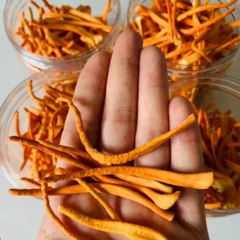 Máy sấy thăng hoa công nghiệp sấy đông trùng hạ thảo