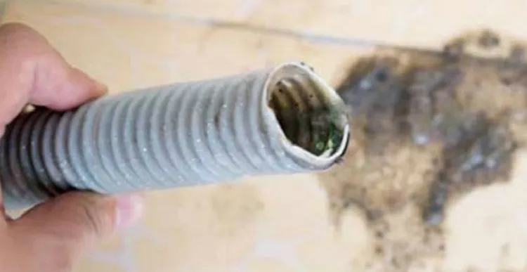 Máy giặt Toshiba nội địa báo lỗi C1 (Hình 3)