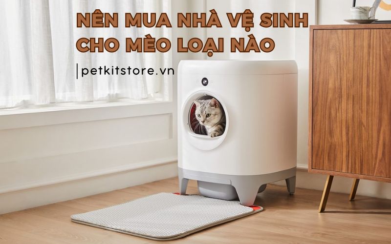 Nên Mua Máy Giặt Hãng Nào Tốt Nhất Năm 2026: Hướng Dẫn Chi Tiết Từ Chuyên Gia