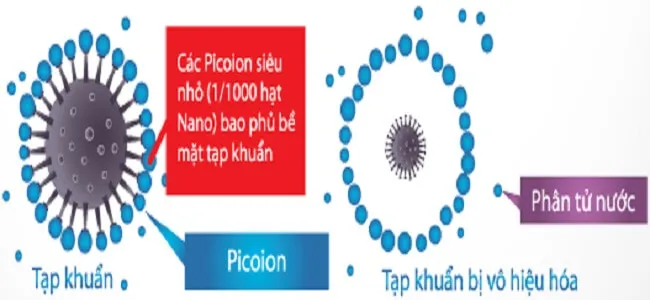 Công nghệ Picoion trên tủ lạnh Toshiba
