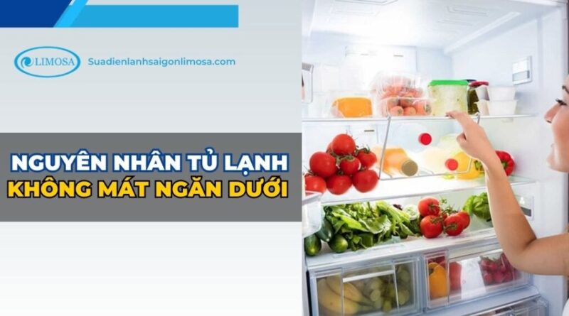 Khắc Phục Tình Trạng Tủ Lạnh Không Lạnh Ngăn Đá, Ngăn Dưới Không Mát Hiệu Quả