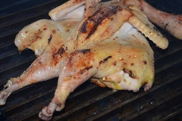 nướng thịt bằng lò vi sóng sanyo - Ảnh 5