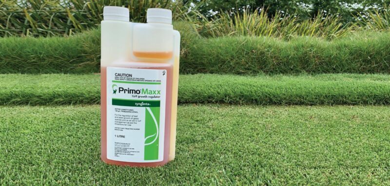 Chất Điều Hòa Sinh Trưởng Thực Vật Là Gì Và Lợi Ích Cho Bãi Cỏ Của Bạn