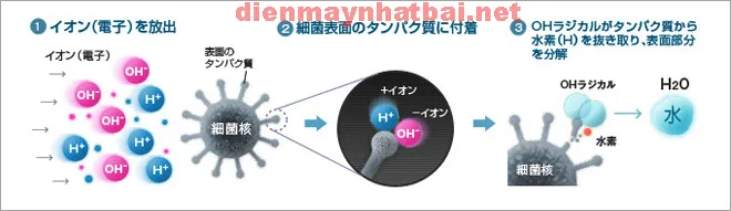 Công nghệ Ion Plasmacluster độc quyền trên máy lọc không khí Sharp nội địa Nhật.