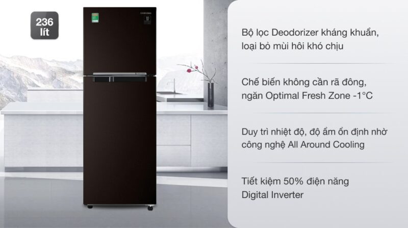 Tủ Lạnh Samsung RT22FARBDSA 236 Lít Inverter: Đánh Giá Chi Tiết & Kinh Nghiệm Chọn Mua