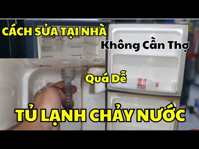 Tại Sao Tủ Lạnh Bị Chảy Nước Và Cách Xử Lý Hiệu Quả