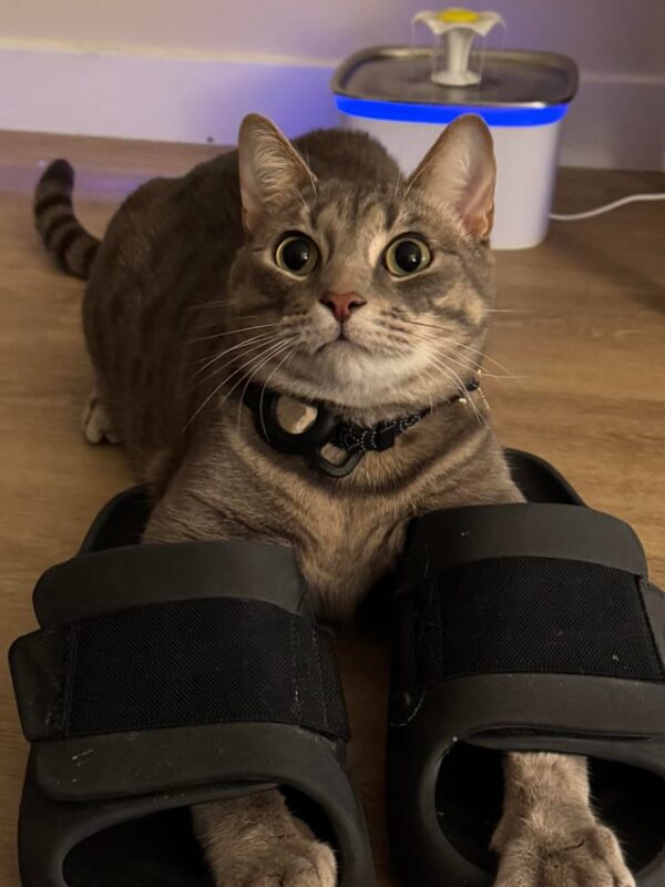 Có Nên Giặt Đồ Em Bé Bằng Máy Giặt Hay Không? Hướng Dẫn Chi Tiết Từ Chuyên Gia