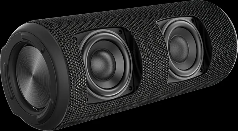 Hệ thống tản âm thụ động kép giúp loa tăng cường độ sâu của dải Bass