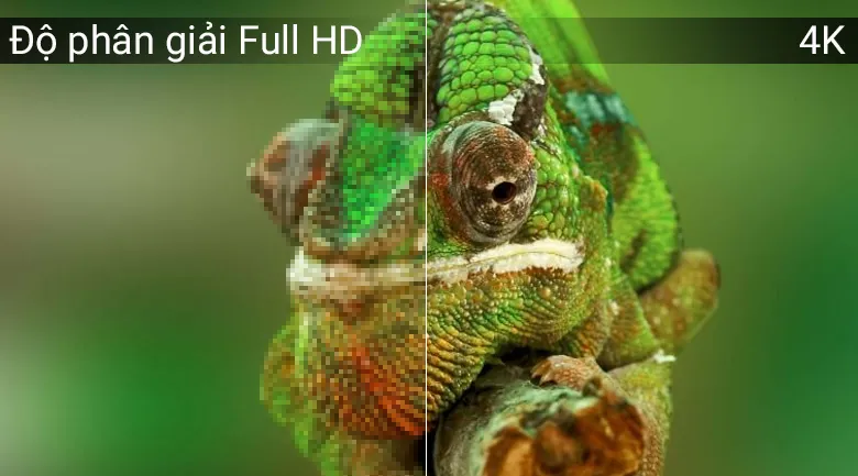 Độ phân giải 4K sắc nét trên Smart Tivi OLED LG 4K 65 inch 65C8PTA