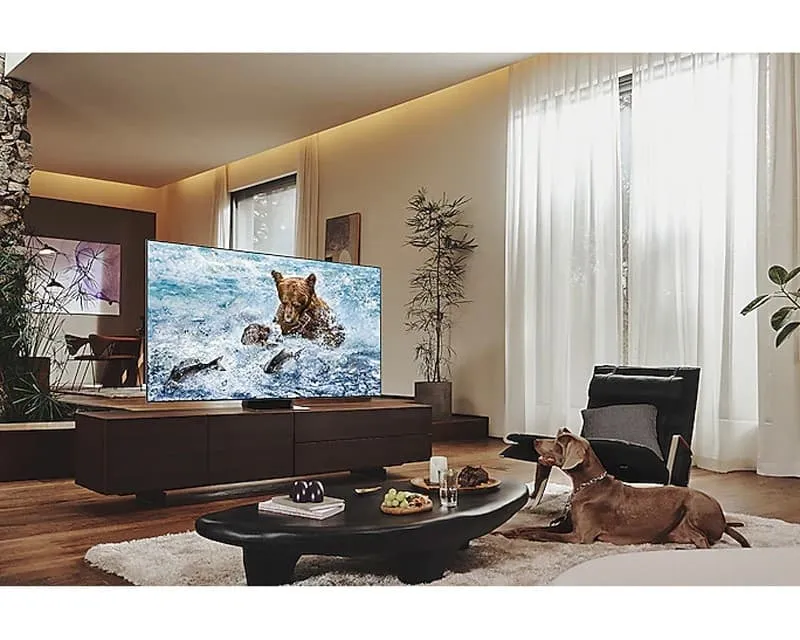 Tính năng điều khiển giọng nói trên Smart Tivi QA55QN700B