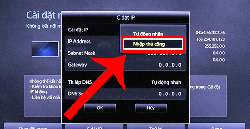 Chọn tùy chọn Nhập thủ công cho địa chỉ IP