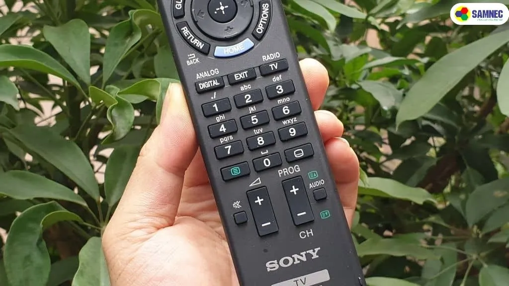 Lựa chọn mua remote chính hãng hoặc sử dụng ứng dụng điện thoại thay thế