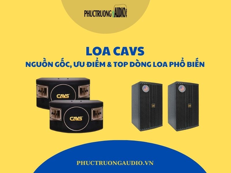 Loa BMB Của Nước Nào? Khám Phá Nguồn Gốc & Chất Lượng Vượt Trội