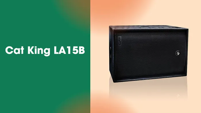 Loa trầm hơi bass 40 Cat King LA15B