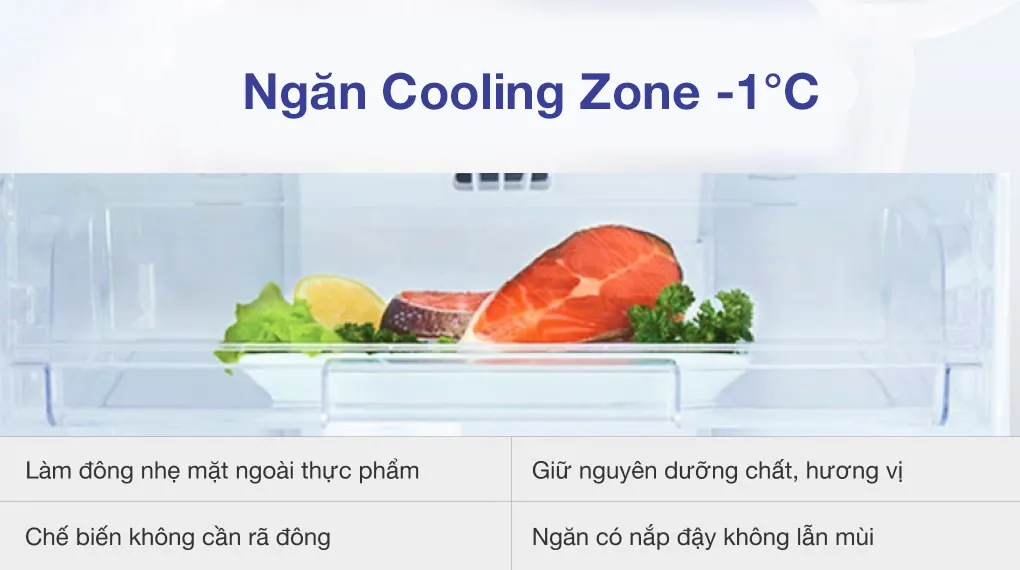 Ngăn Cooling Zone -1°C bảo quản thịt cá tươi