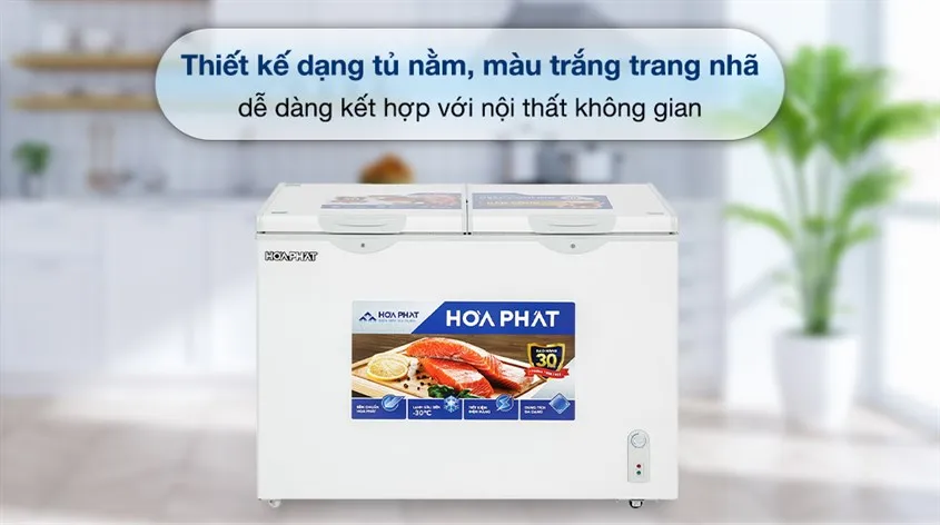 Kiểu dáng nằm ngang của tủ đông Hòa Phát hỗ trợ lấy thực phẩm thuận tiện từ mọi góc