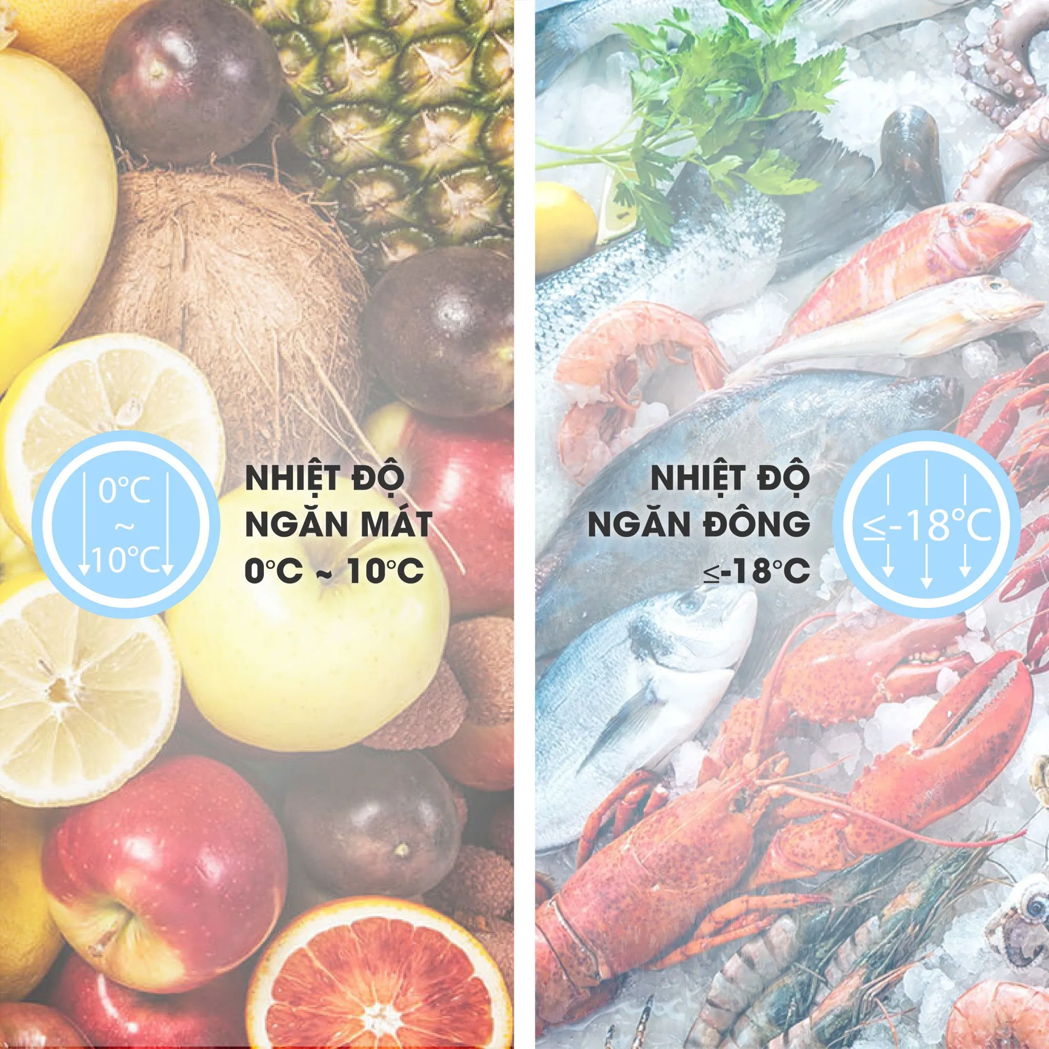 2 NGĂN ĐÔNG/MÁT RIÊNG BIỆT