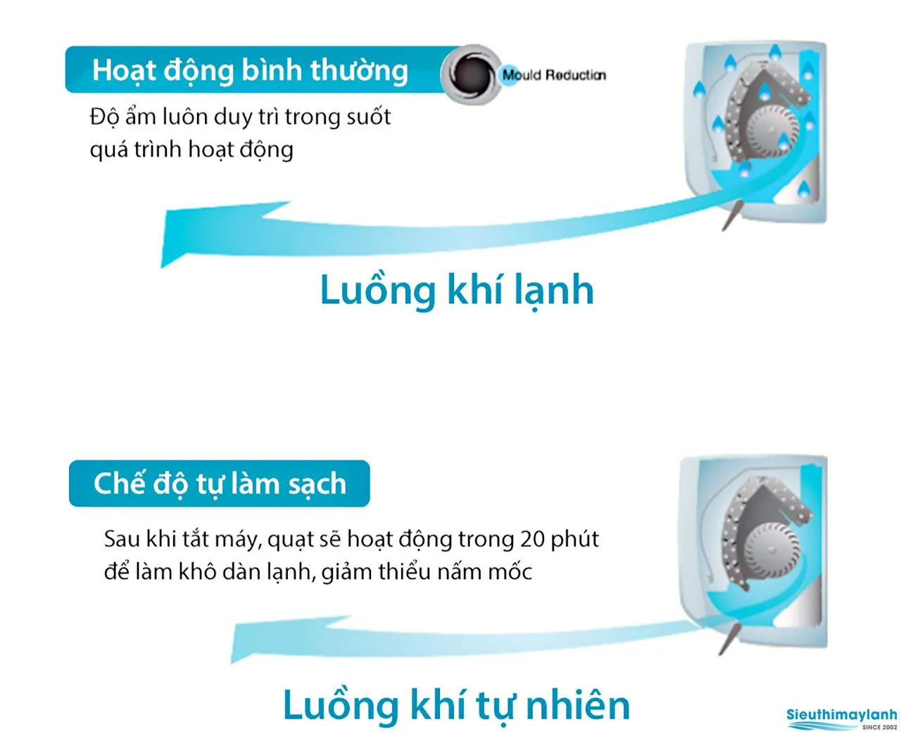 Chế độ tự làm sạch giúp quạt chạy thêm 20 phút sau khi tắt máy