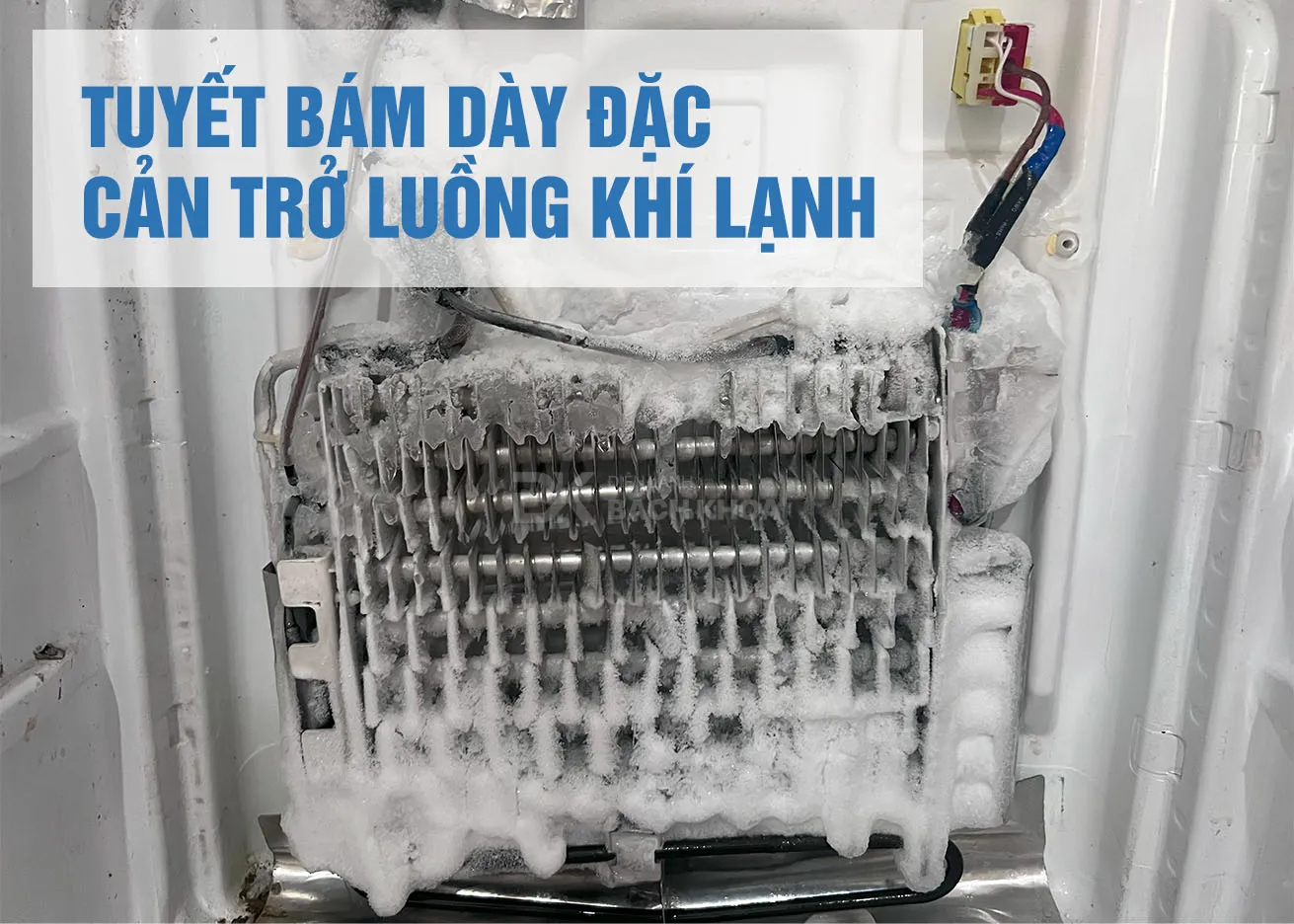 Kiểm tra linh kiện khi tủ lạnh bị bó đá