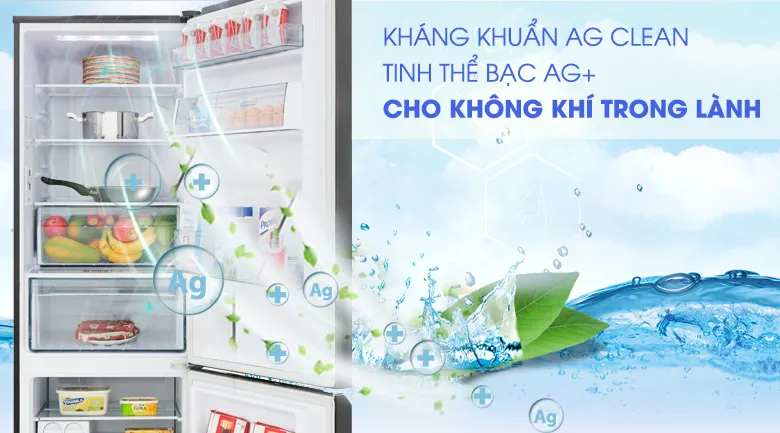 Tủ lạnh Panasonic được tích hợp 2 công nghệ chính là công nghệ Ag Clean và công nghệ Blue Ag+