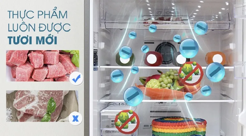 Bá»™ lá»c than hoáº¡t tÃ­nh giÃºp lá»c sáº¡ch khÃ´ng khÃ­ bÃªn trong tá»§ - Tá»§ láº¡nh Samsung Inverter 380 lÃ­t RT38K5982SL/SV