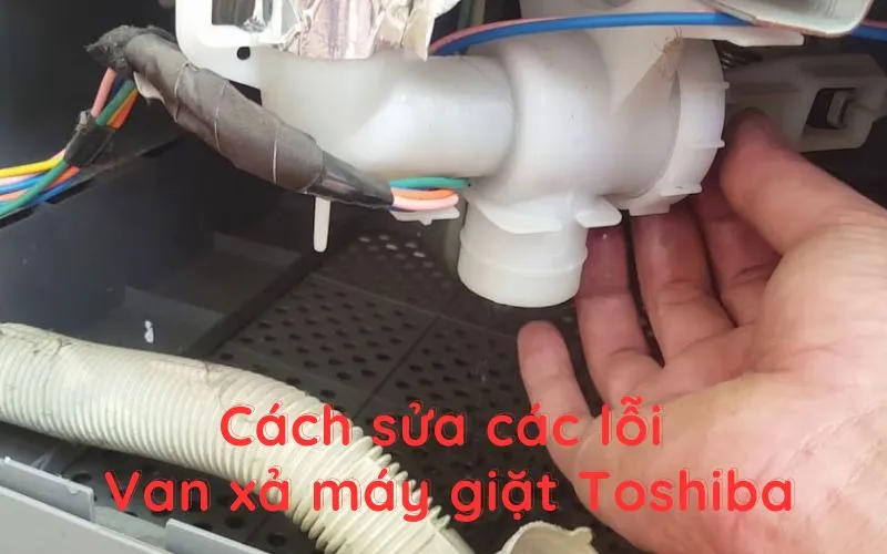Kiểm tra motor xả máy giặt Toshiba định kỳ giúp tăng độ bền thiết bị
