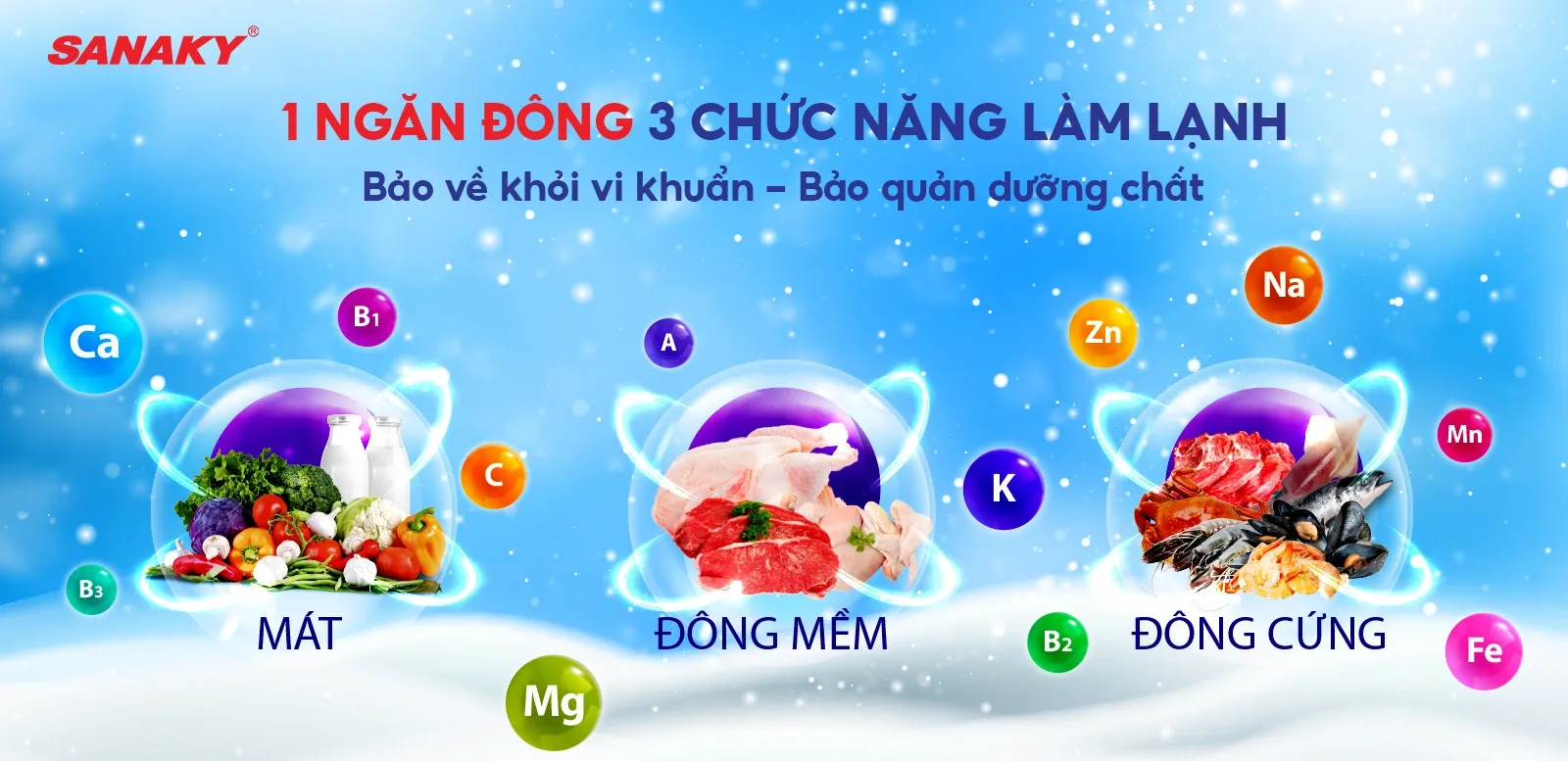Bản đồ 3 chế độ nhiệt linh hoạt của dòng tủ đông Sanaky lớn nhất