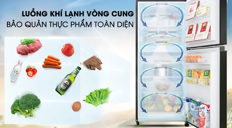 Hệ thống khí lạnh vòng cung phân bổ đều nhiệt độ