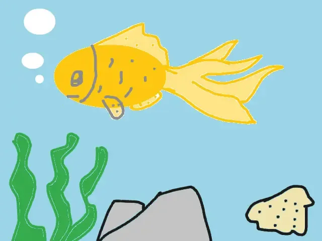 Xem Cá Bơi Trong Bể Nước: Lợi Ích Tâm Lý Và Cách Tạo Không Gian Thư Giãn Tại Nhà